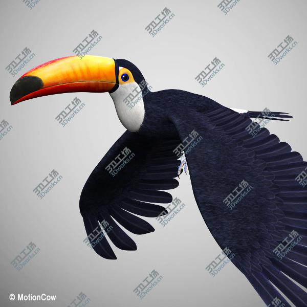 images/goods_img/202104023/Toucan A   Flying/2.jpg
